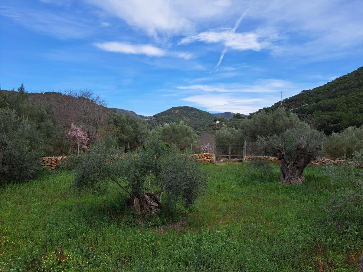 Paraiso Cuantico Eslida Luaran gambar