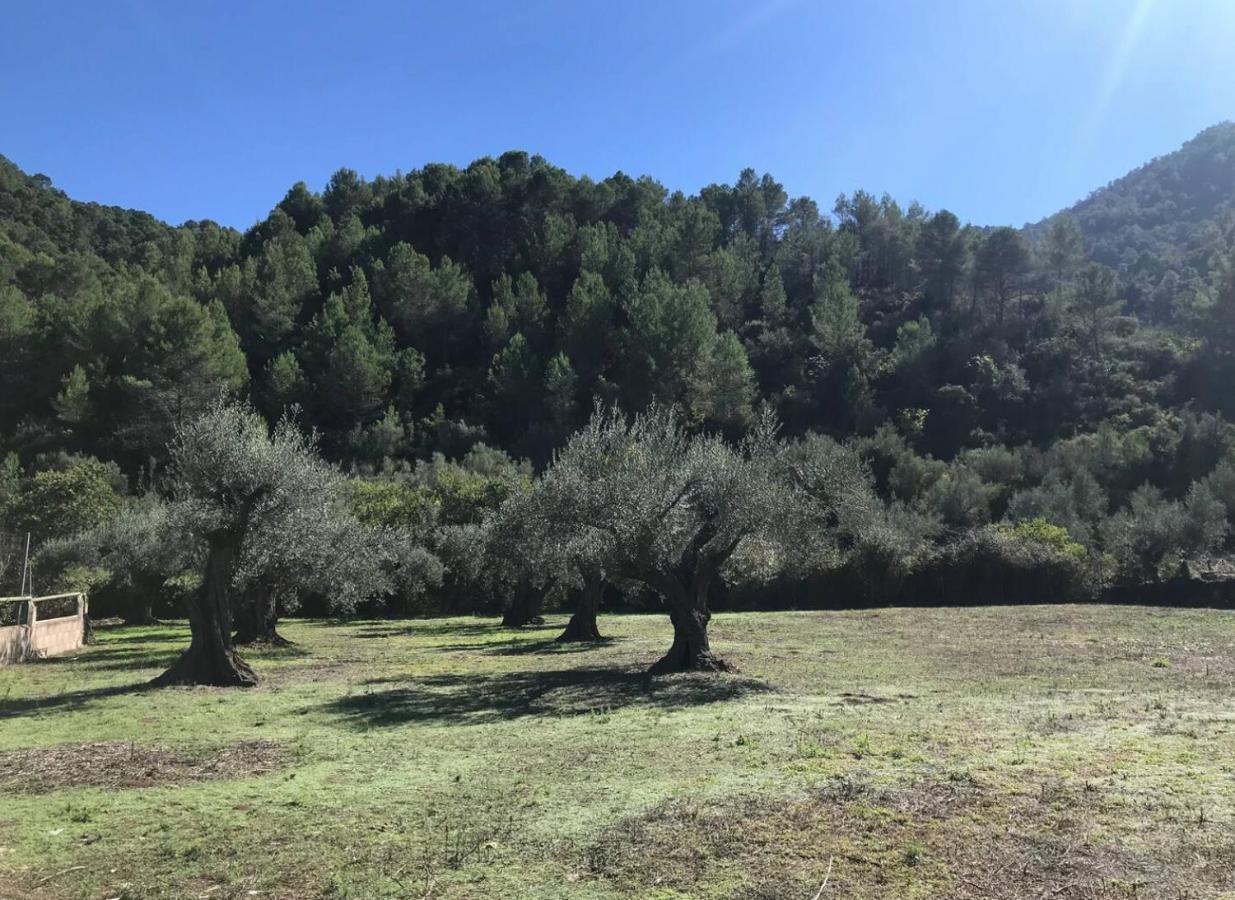 Paraiso Cuantico Eslida Luaran gambar